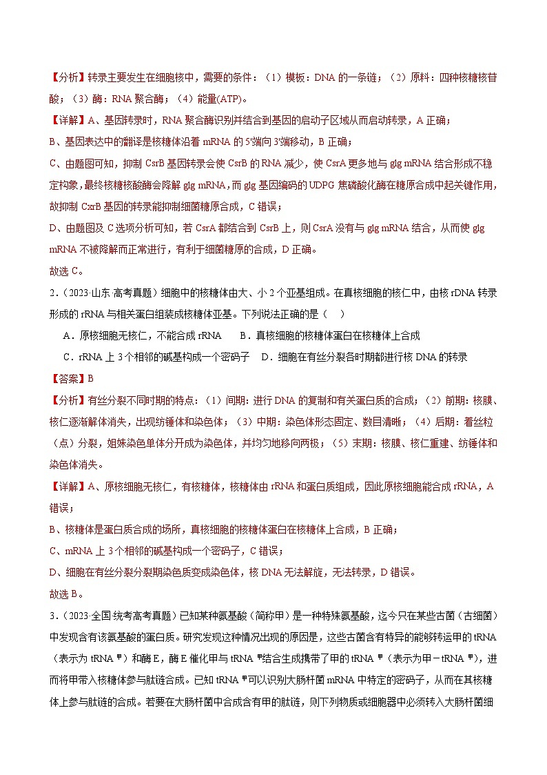 考点通关卷22+基因的表达、基因与性状的关系-2024年高考生物一轮复习考点通关卷03