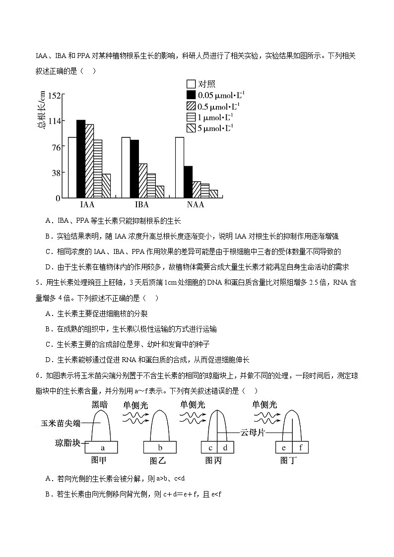 考点通关卷30 植物生命活动调节-2024年高考生物一轮复习考点通关卷03