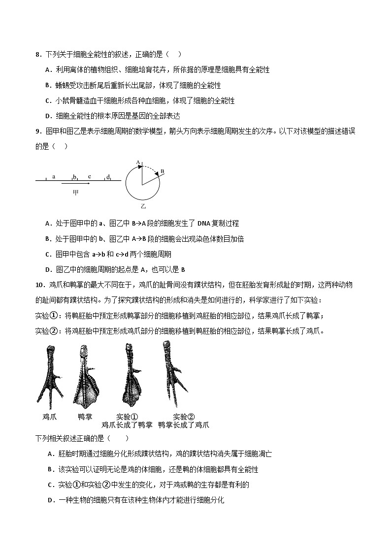 单元检测卷04 细胞的生命历程（原卷版）第3页