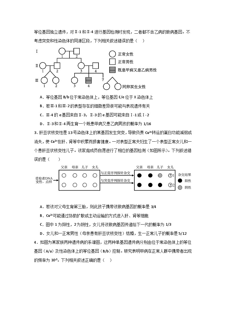 单元检测卷05+基因的传递规律-2024年高考生物一轮复习考点通关卷02