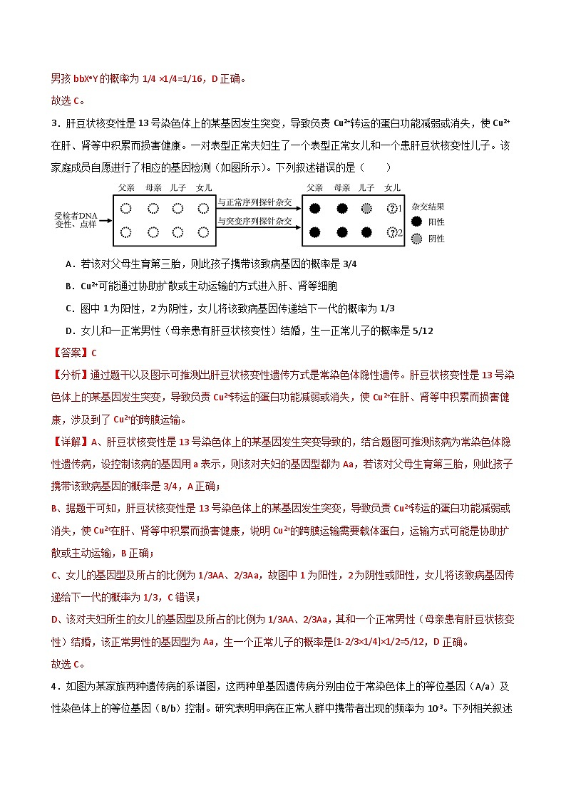 单元检测卷05+基因的传递规律-2024年高考生物一轮复习考点通关卷03