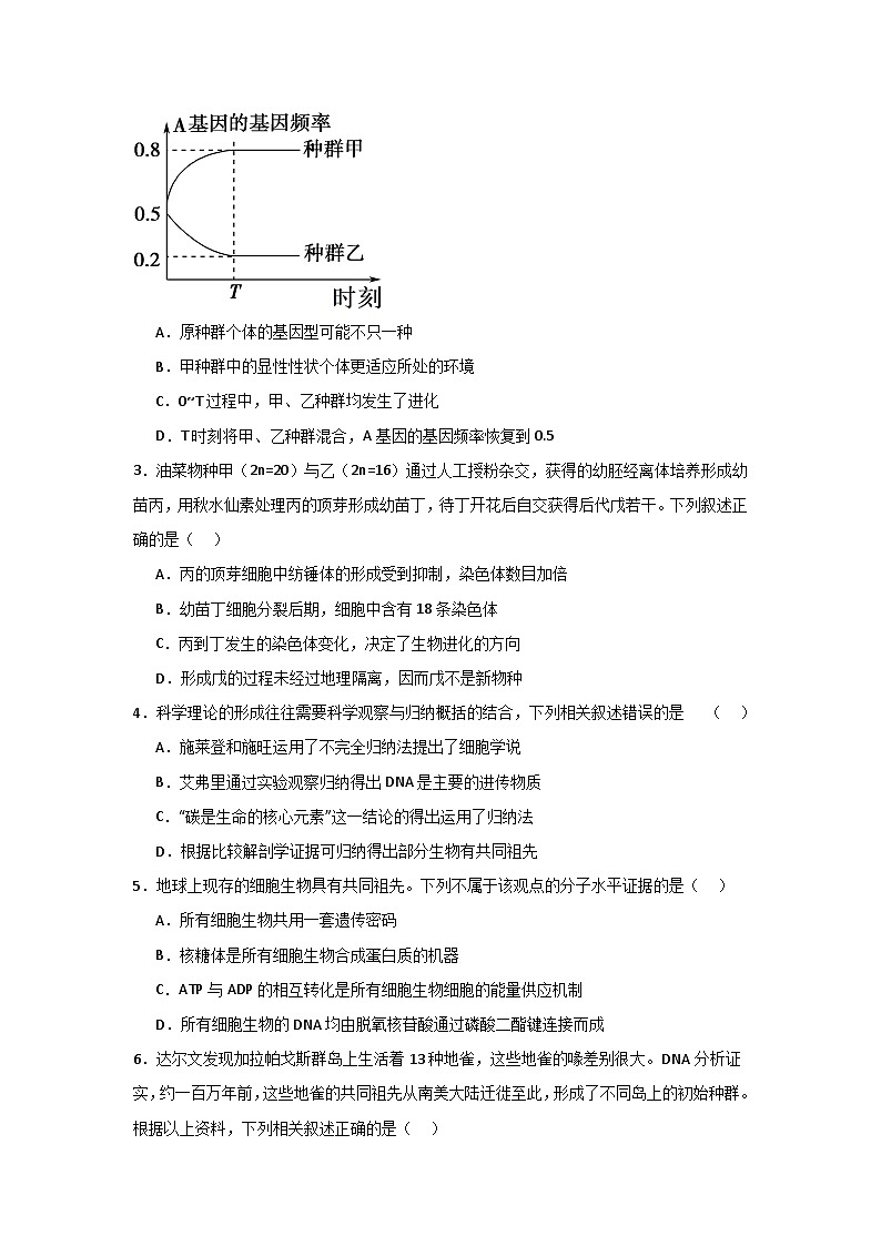 单元检测卷07 变异与进化（原卷版）第2页
