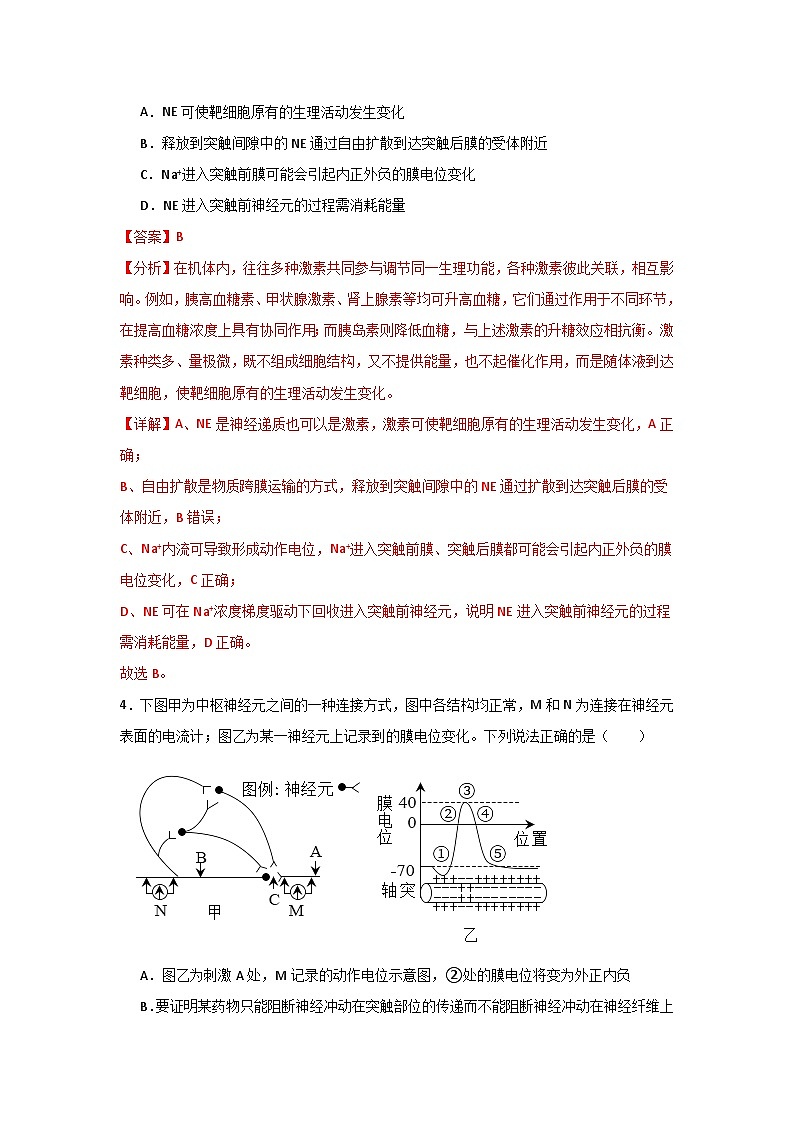 单元检测卷08 稳态与调节-2024年高考生物一轮复习考点通关卷（新高考通用）03