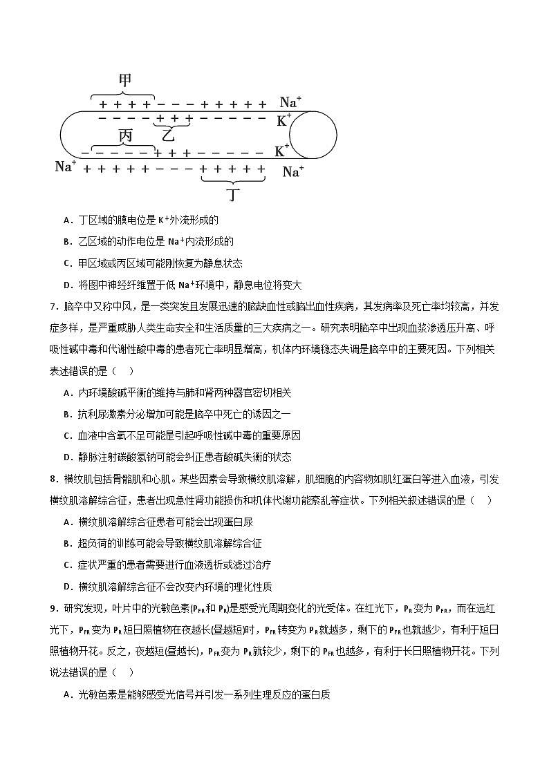 单元检测卷08 稳态与调节-2024年高考生物一轮复习考点通关卷（新高考通用）03