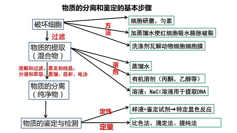 专题一 教材基础实验-2024年高考生物二轮复习热点专题专项突破课件PPT第5页