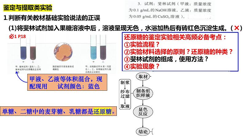 专题一 教材基础实验-2024年高考生物二轮复习热点专题专项突破课件PPT第6页