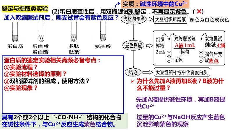 专题一 教材基础实验-2024年高考生物二轮复习热点专题专项突破课件PPT第7页