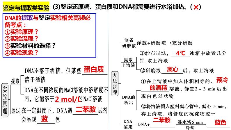 专题一 教材基础实验-2024年高考生物二轮复习热点专题专项突破课件PPT第8页