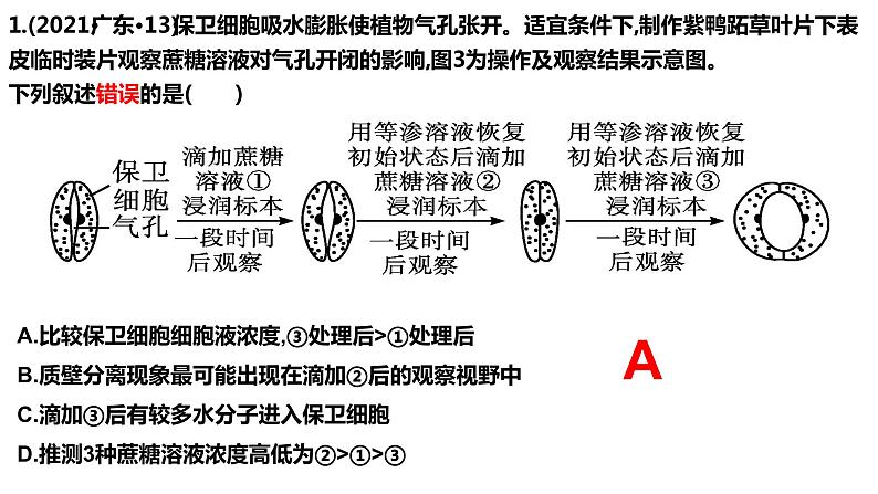 专题二 细胞代谢-2024年高考生物二轮复习热点专题专项突破课件PPT06