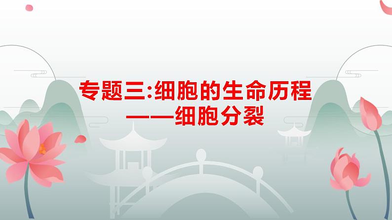 专题三 细胞的分裂-2024年高考生物二轮复习热点专题专项突破课件PPT第3页