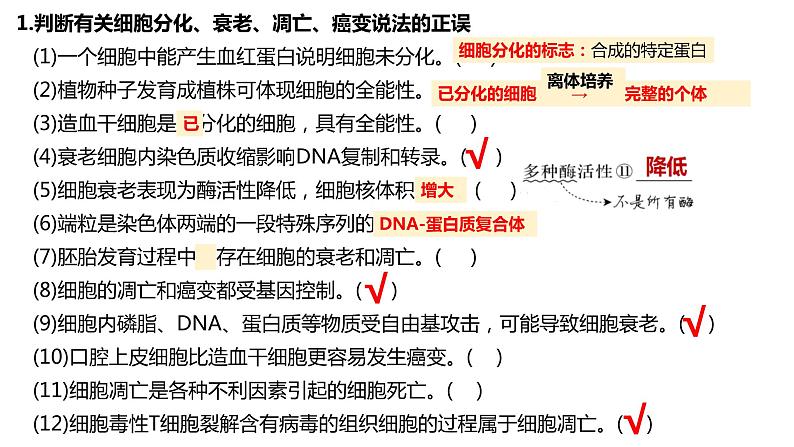 专题四 细胞的分化、衰老、死亡和癌变-2024年高考生物二轮复习热点专题专项突破课件PPT第5页