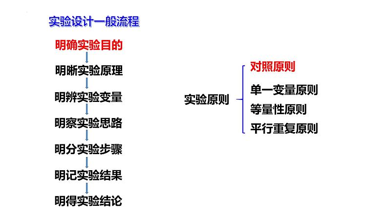 专题六 实验设计-2024年高考生物二轮复习热点专题专项突破课件PPT第4页