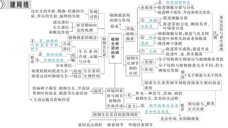 专题七 植物激素、光、重力等的调节-2024年高考生物二轮复习热点专题专项突破课件PPT第4页