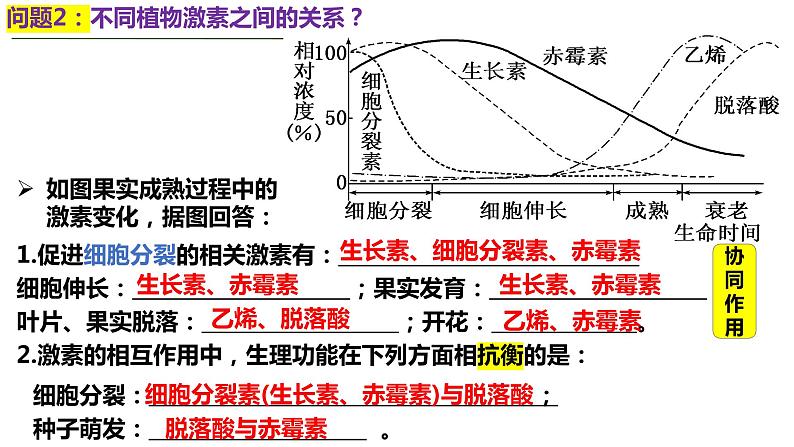 专题七 植物激素、光、重力等的调节-2024年高考生物二轮复习热点专题专项突破课件PPT第7页