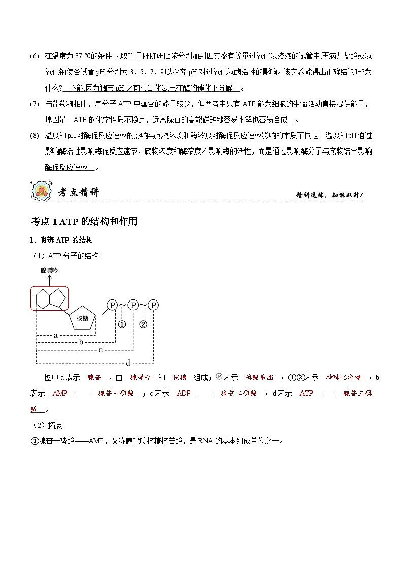 第3讲 酶和ATP（讲练）-新高考生物二轮复习讲练测（新教材专用）03