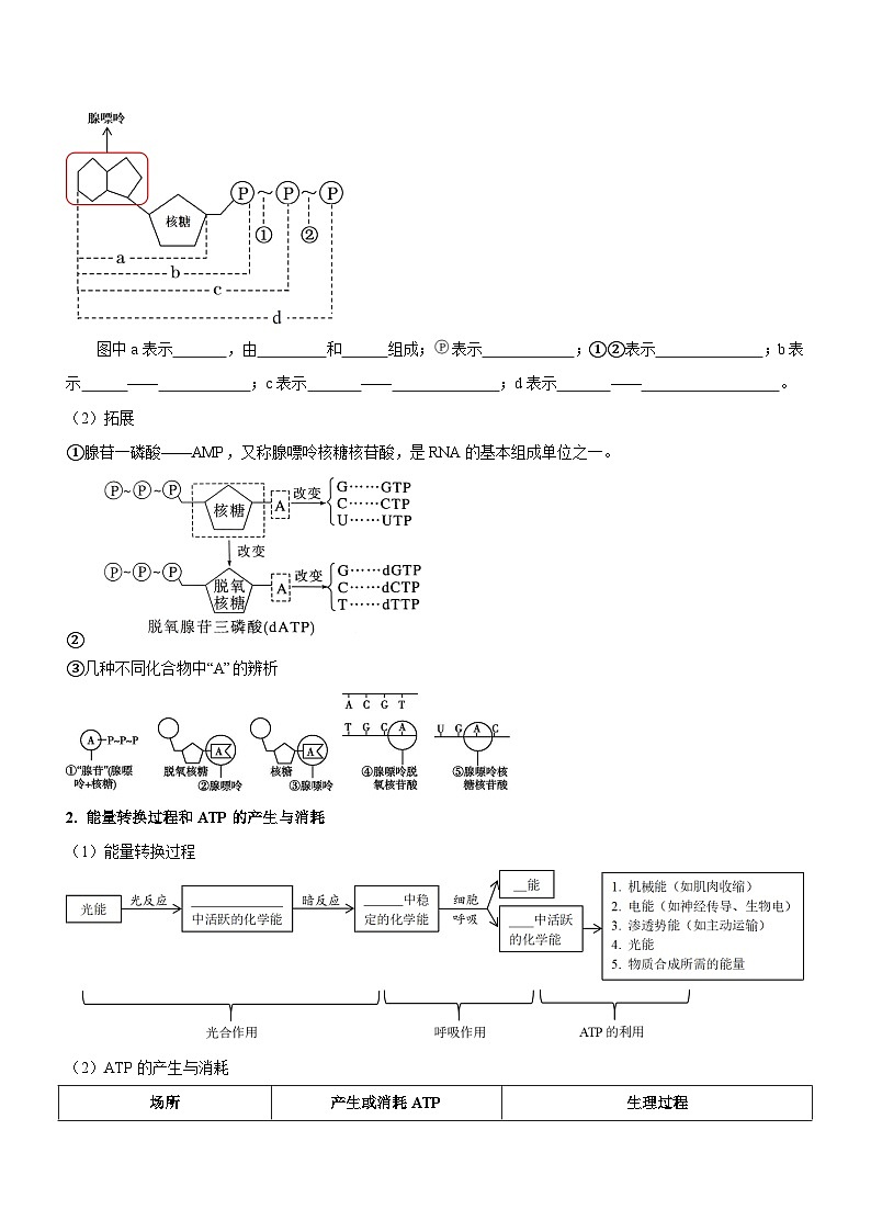 第3讲 酶和ATP（讲练）-新高考生物二轮复习讲练测（新教材专用）03