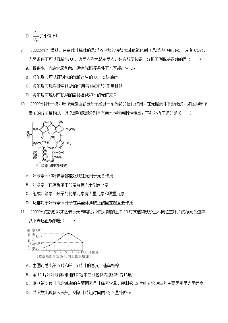 第4讲 光合作用和细胞呼吸（检测）（原卷版）第3页