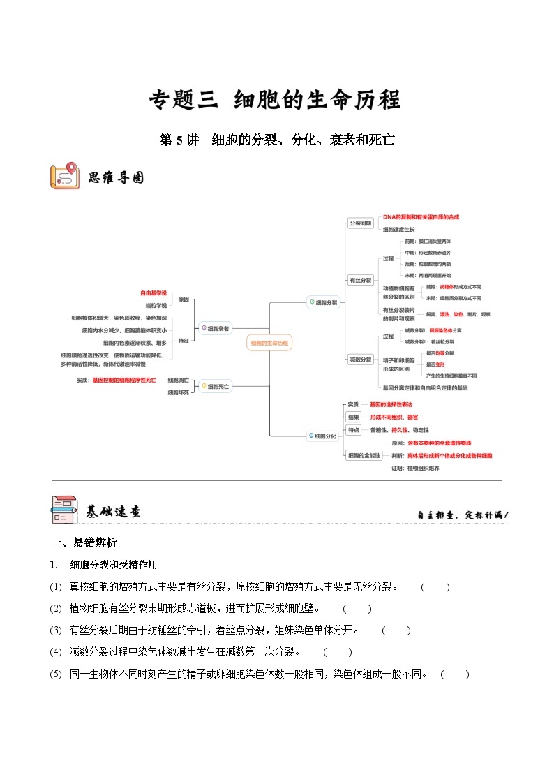 第5讲 细胞的分裂、分化、衰老和死亡（讲练）-新高考生物二轮复习讲练测（新教材专用）01