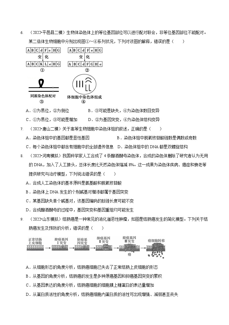 第8讲 生物的变异、育种与进化（检测）-新高考生物二轮复习讲练测（新教材专用）02