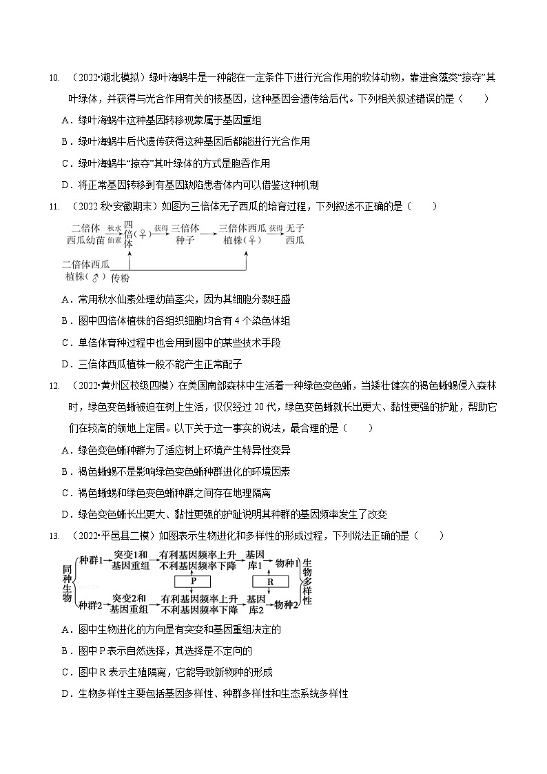 第8讲 生物的变异、育种与进化（检测）-新高考生物二轮复习讲练测（新教材专用）03