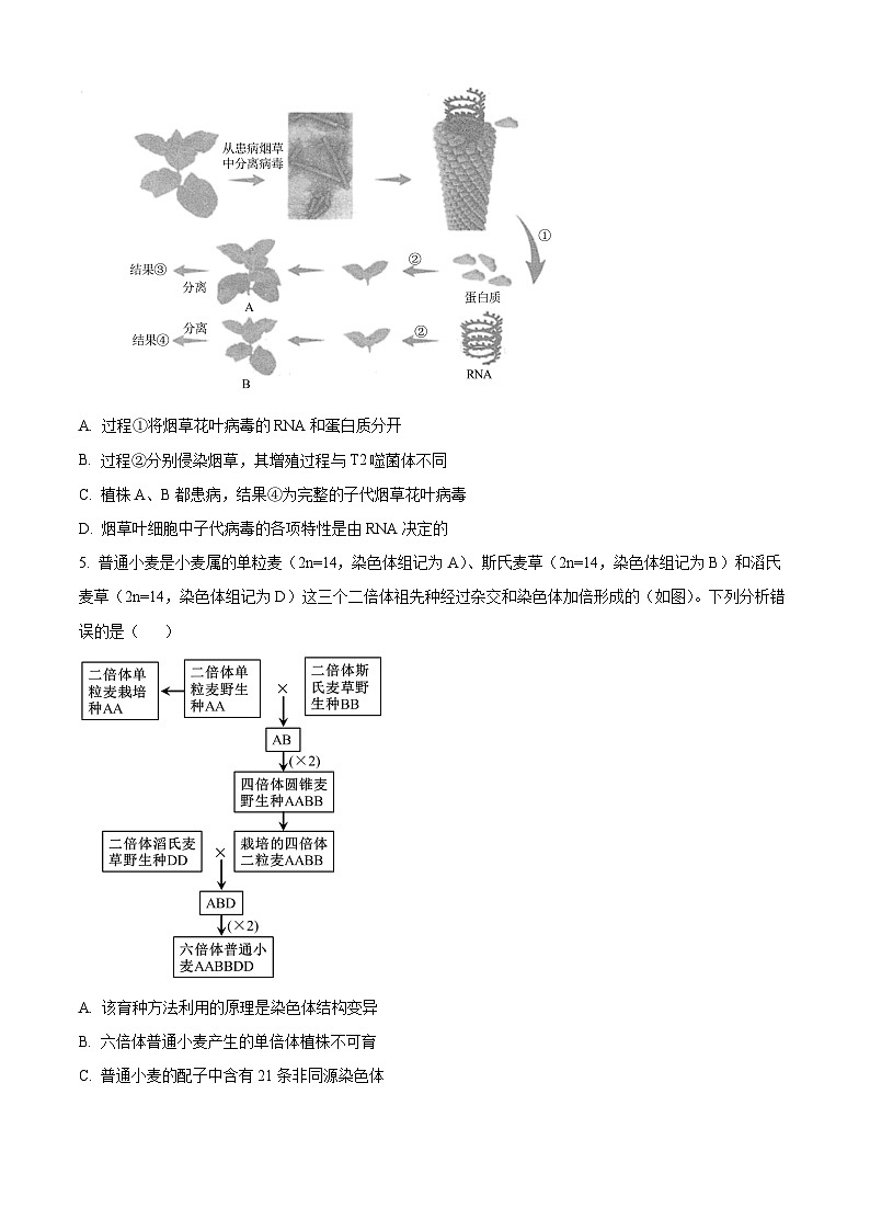 2024届湖南省高考考前仿真联考生物试题（原卷版）第2页