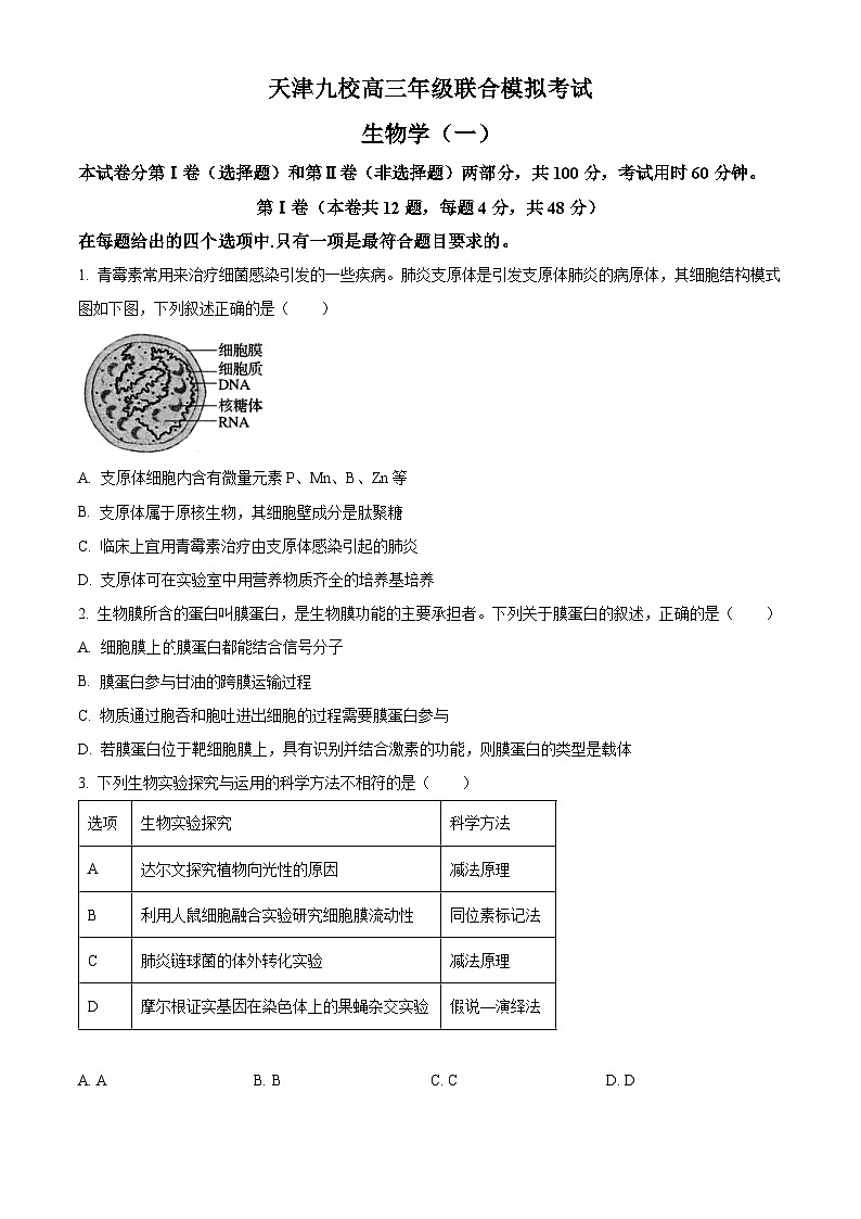 2024届天津市九校高三下学期联合模拟考试生物试卷（原卷版+解析版）01