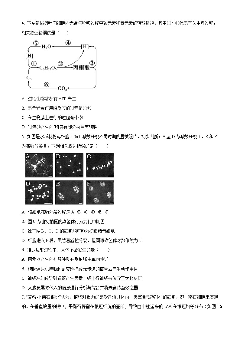 2024届天津市九校高三下学期联合模拟考试生物试卷（原卷版+解析版）02