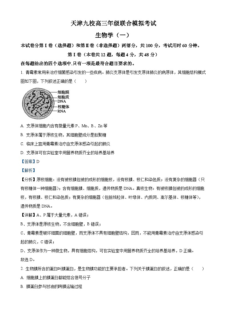 2024届天津市九校高三下学期联合模拟考试生物试卷（原卷版+解析版）01