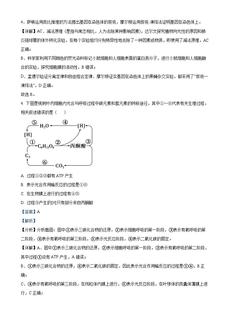 2024届天津市九校高三下学期联合模拟考试生物试卷（原卷版+解析版）03