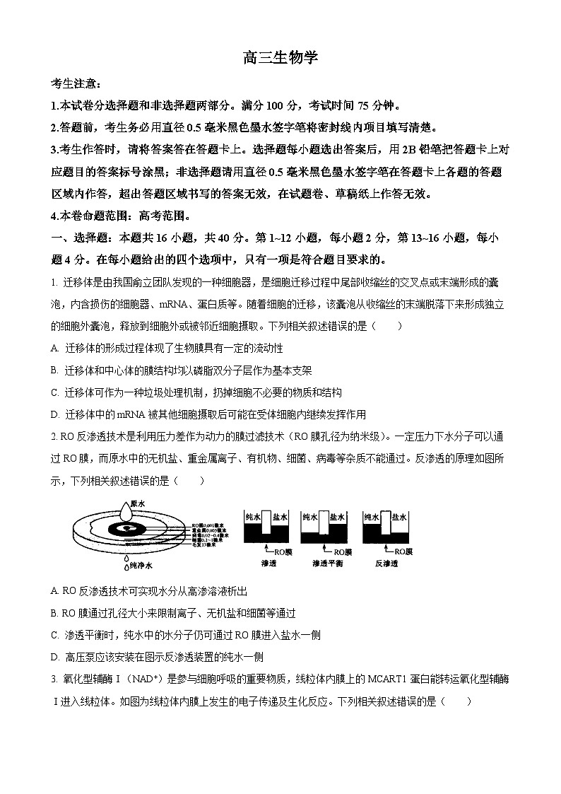 广西壮族自治区柳州市柳北区第三中学2023-2024学年高三下学期2月考试生物试题（原卷版+解析版）01