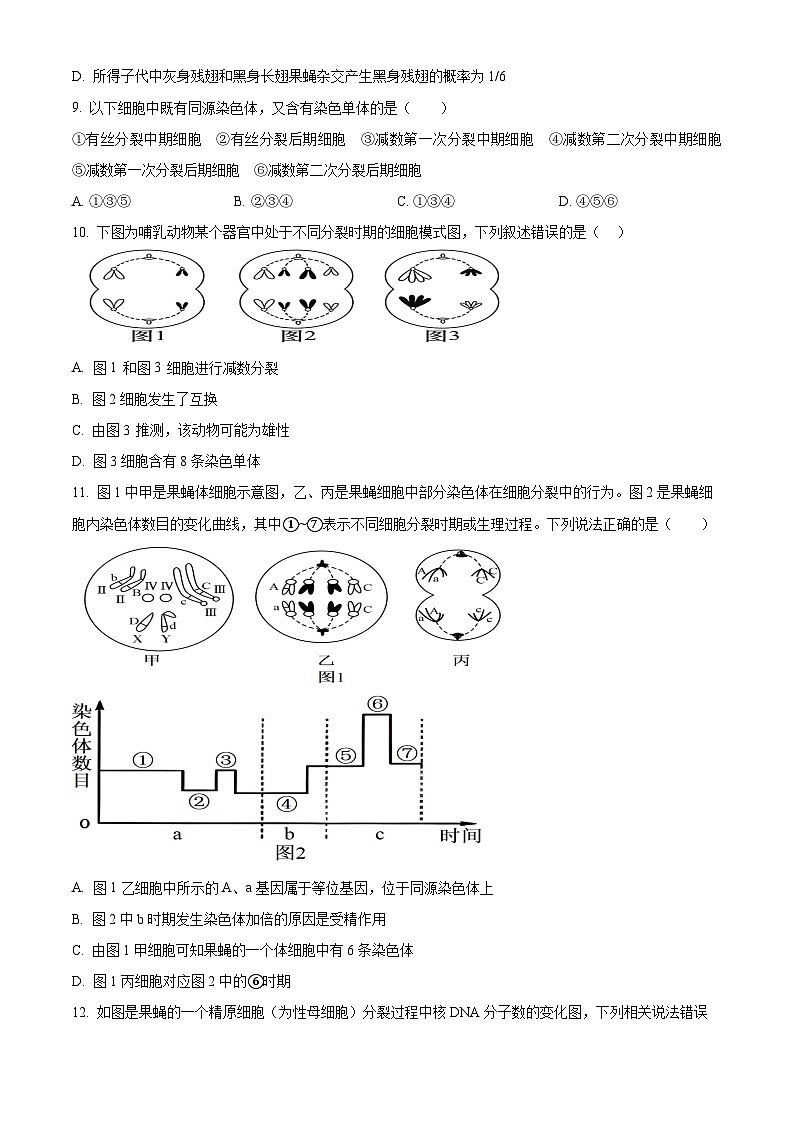 河南省安阳市林州市一中2023-2024学年高一下学期4月月考生物试题（原卷版）第3页