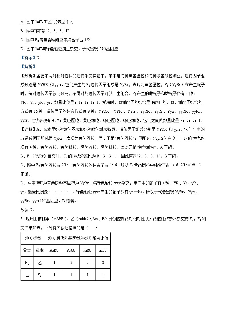 河南省安阳市林州市一中2023-2024学年高一下学期4月月考生物试题（解析版）第3页
