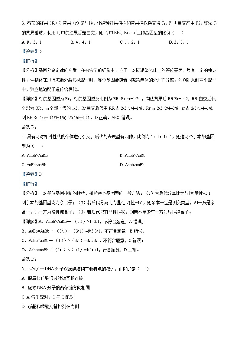 湖南省邵阳市邵东市第四中学2023-2024学年高一下学期4月期中考试生物试题（原卷版+解析版）02