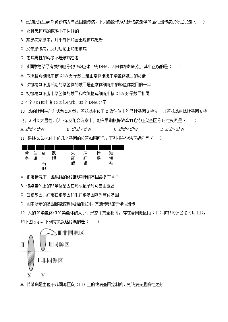 湖南省邵阳市邵东市第四中学2023-2024学年高一下学期4月期中考试生物试题（原卷版+解析版）02