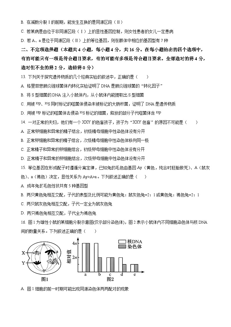 湖南省邵阳市邵东市第四中学2023-2024学年高一下学期4月期中考试生物试题（原卷版+解析版）03