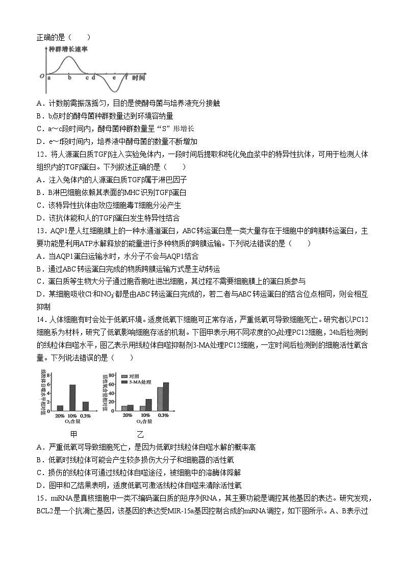 2024浙江省五校联盟高二下学期期中考试生物含答案第3页