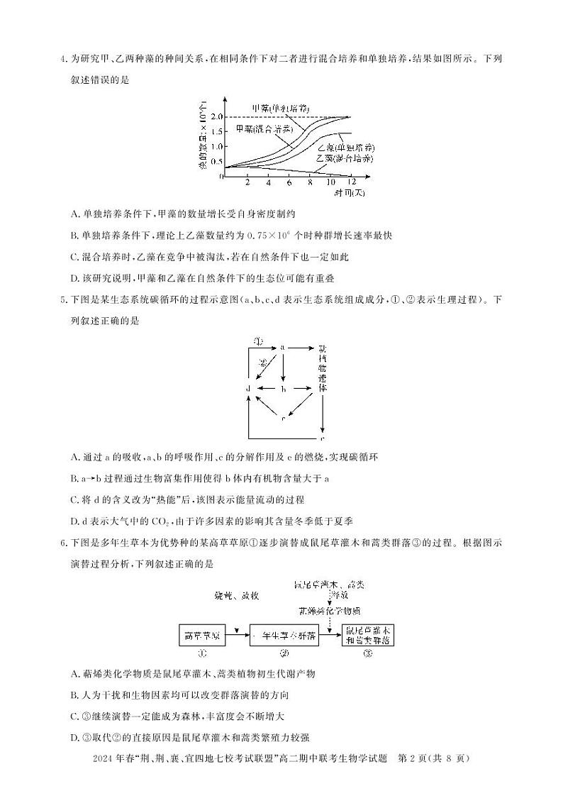 2024湖北省“荆、荆、襄、宜四地七校”考试联盟高二下学期期中联考试题生物PDF版含答案02