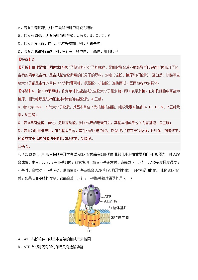 专题卷01 细胞的分子组成、结构和物质运输-【小题小卷】冲刺2023年高考生物小题限时集训（新高考专用）（解析版）第3页