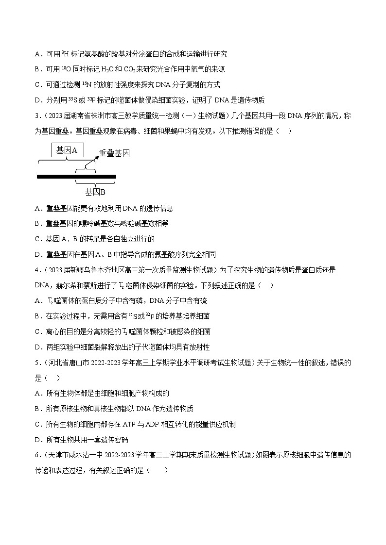 专题卷05 遗传的分子基础-【小题小卷】冲刺最新高考生物小题限时集训（新高考专用）02