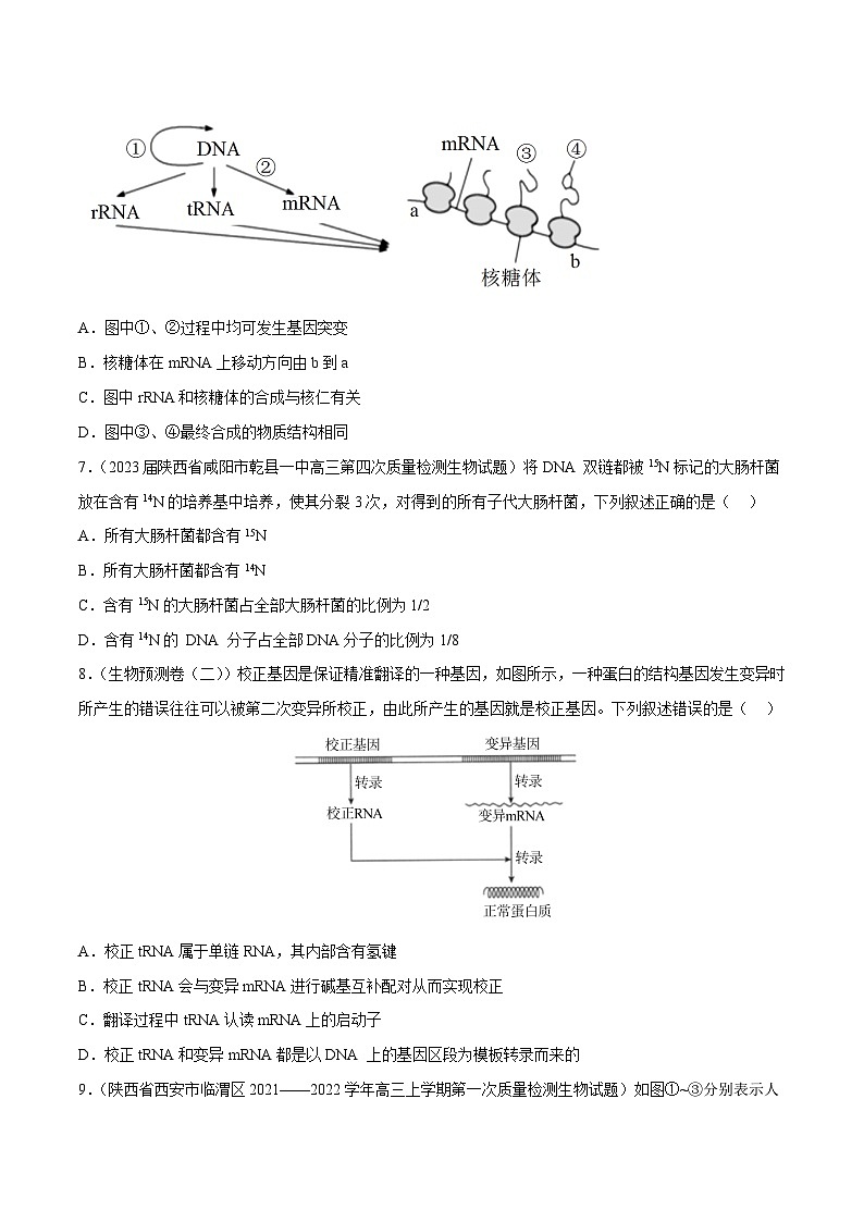专题卷05 遗传的分子基础-【小题小卷】冲刺最新高考生物小题限时集训（新高考专用）03