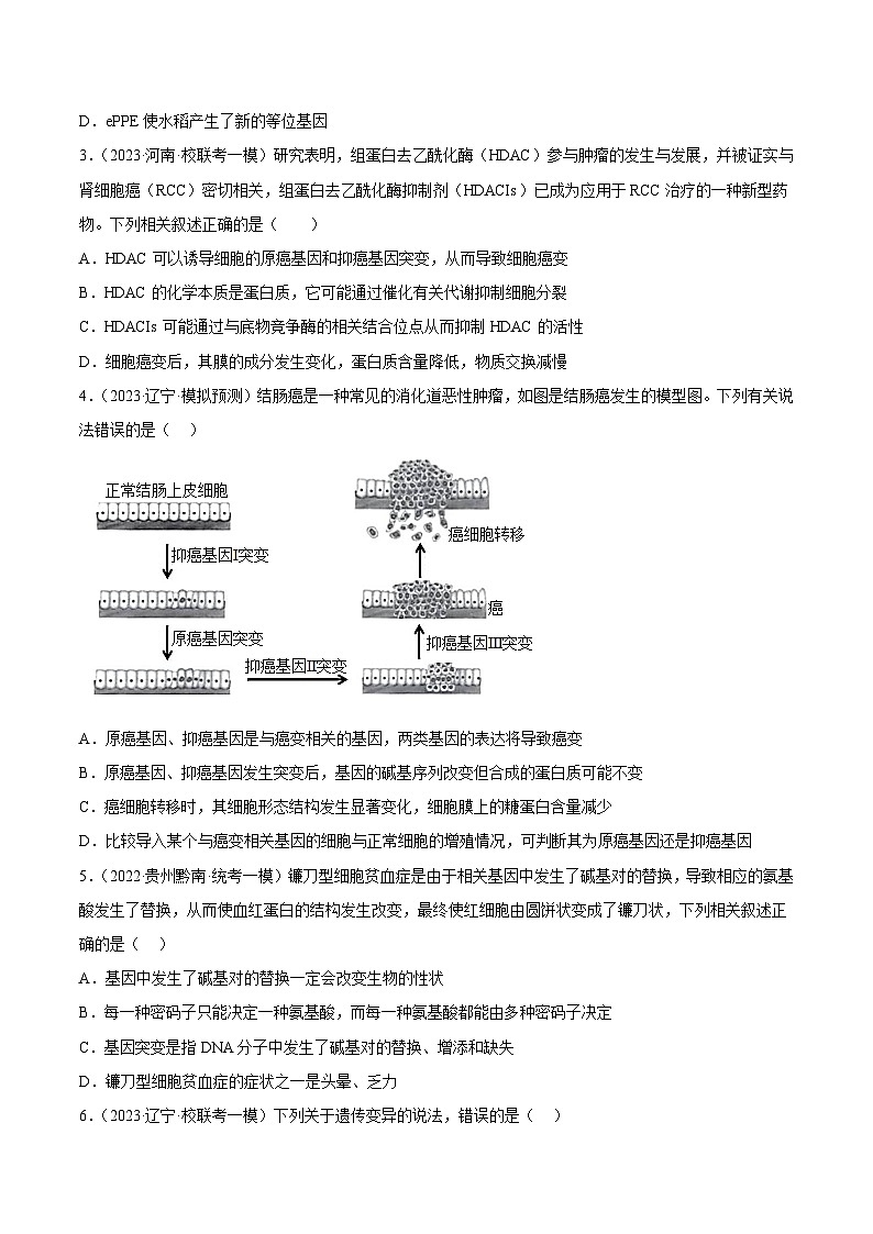 专题卷06 变异、进化-【小题小卷】冲刺最新高考生物小题限时集训（新高考专用）02