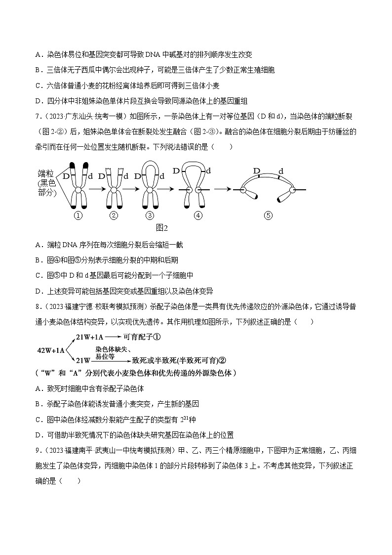 专题卷06 变异、进化-【小题小卷】冲刺最新高考生物小题限时集训（新高考专用）03