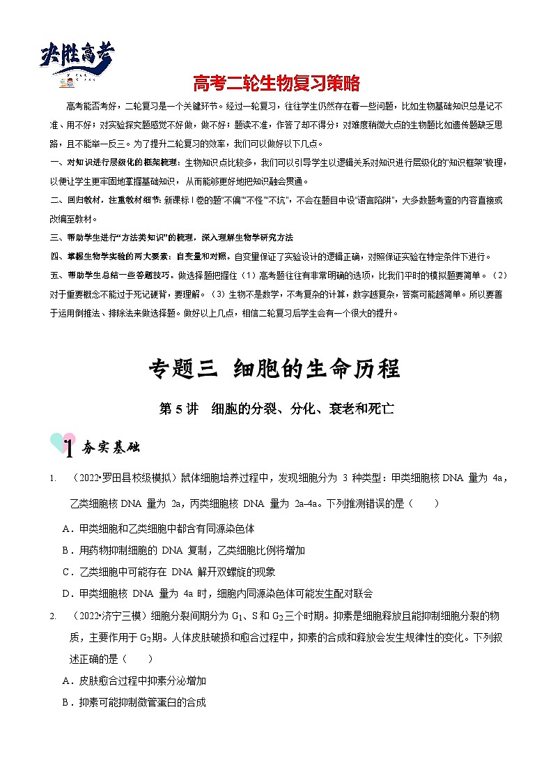 第5讲 细胞的分裂、分化、衰老和死亡（检测）（原卷版）第1页