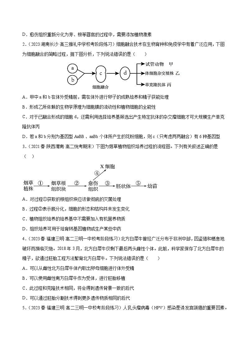 专题卷12 细胞工程和胚胎工程-【小题小卷】冲刺最新高考生物小题限时集训（新高考专用）02