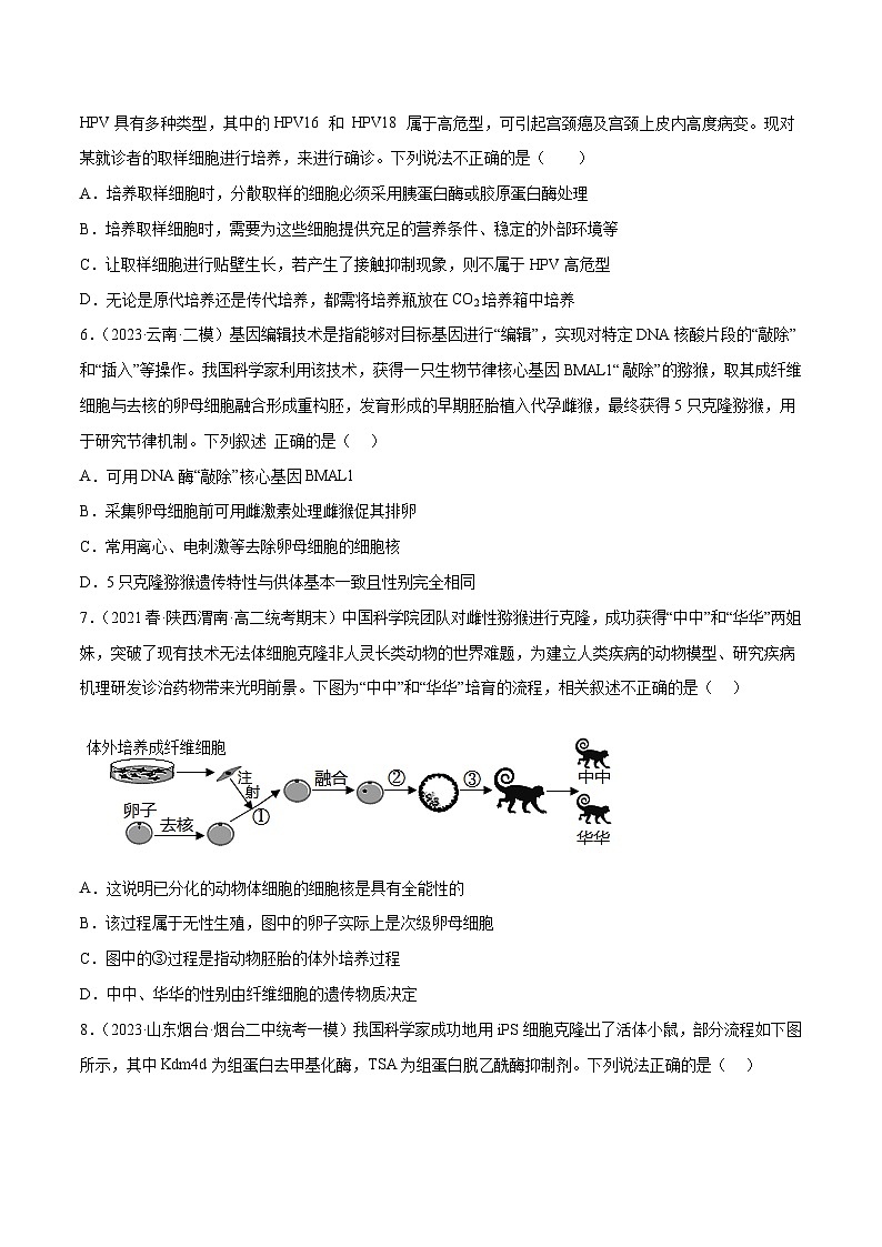 专题卷12 细胞工程和胚胎工程-【小题小卷】冲刺最新高考生物小题限时集训（新高考专用）03