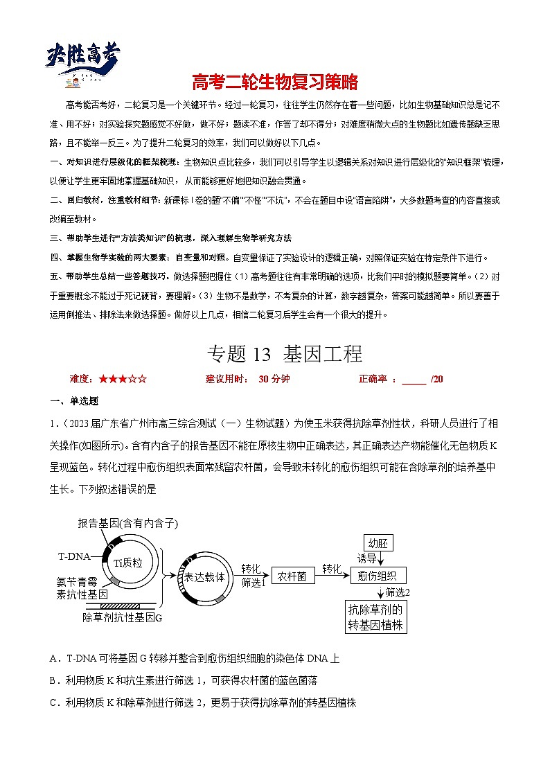 专题卷13 基因工程 -【小题小卷】冲刺2023年高考生物小题限时集训（新高考专用）（原卷版）第1页