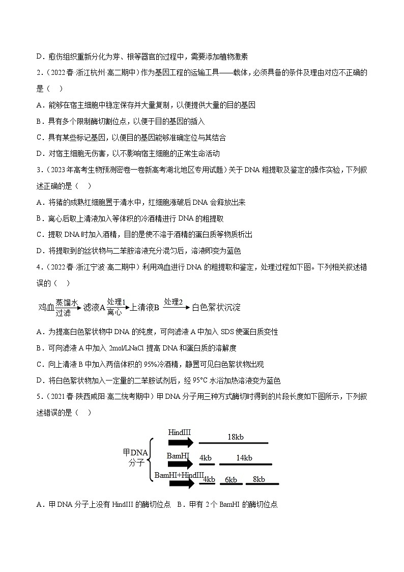专题卷13 基因工程 -【小题小卷】冲刺2023年高考生物小题限时集训（新高考专用）（原卷版）第2页