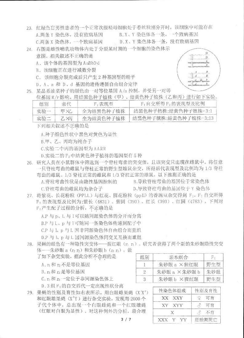 2024北京理工大附中高一下学期期中生物（等级考）试卷及答案第3页