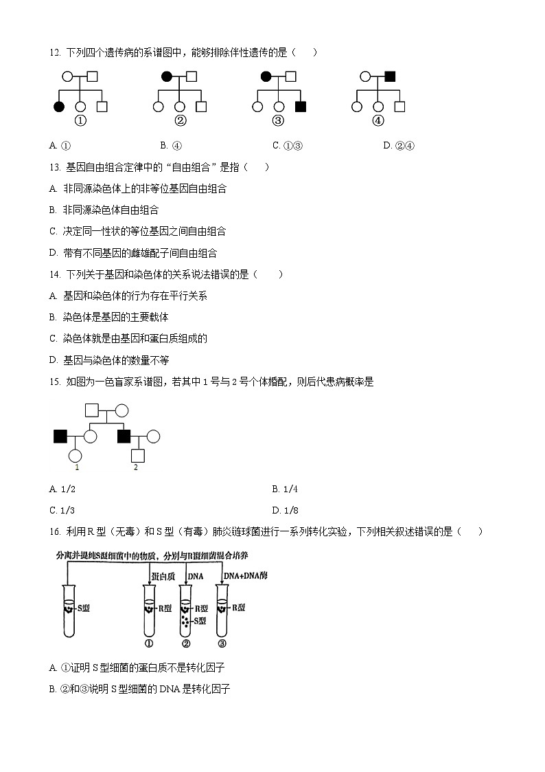 北京市海淀区北京交通大学附属中学2023-2024学年高一下学期期中考试生物试题（原卷版+解析版）03