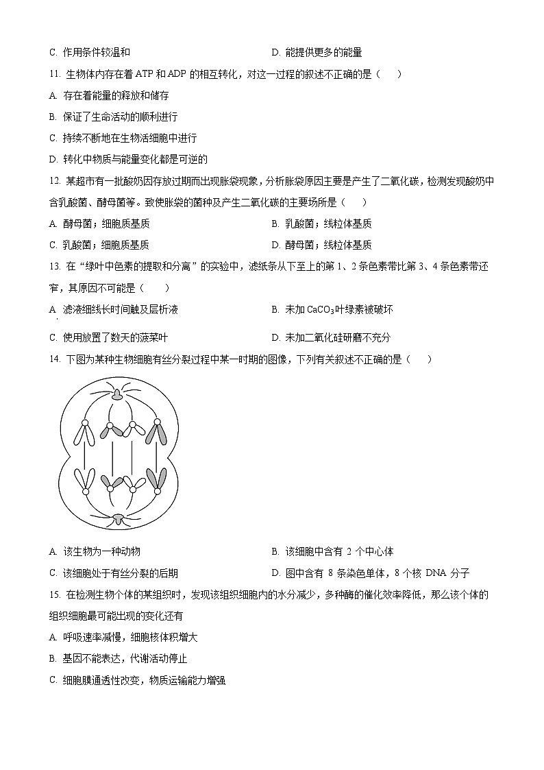 陕西省2024年普通高中学业水平合格性考试全真模拟生物试题 （原卷版）第3页